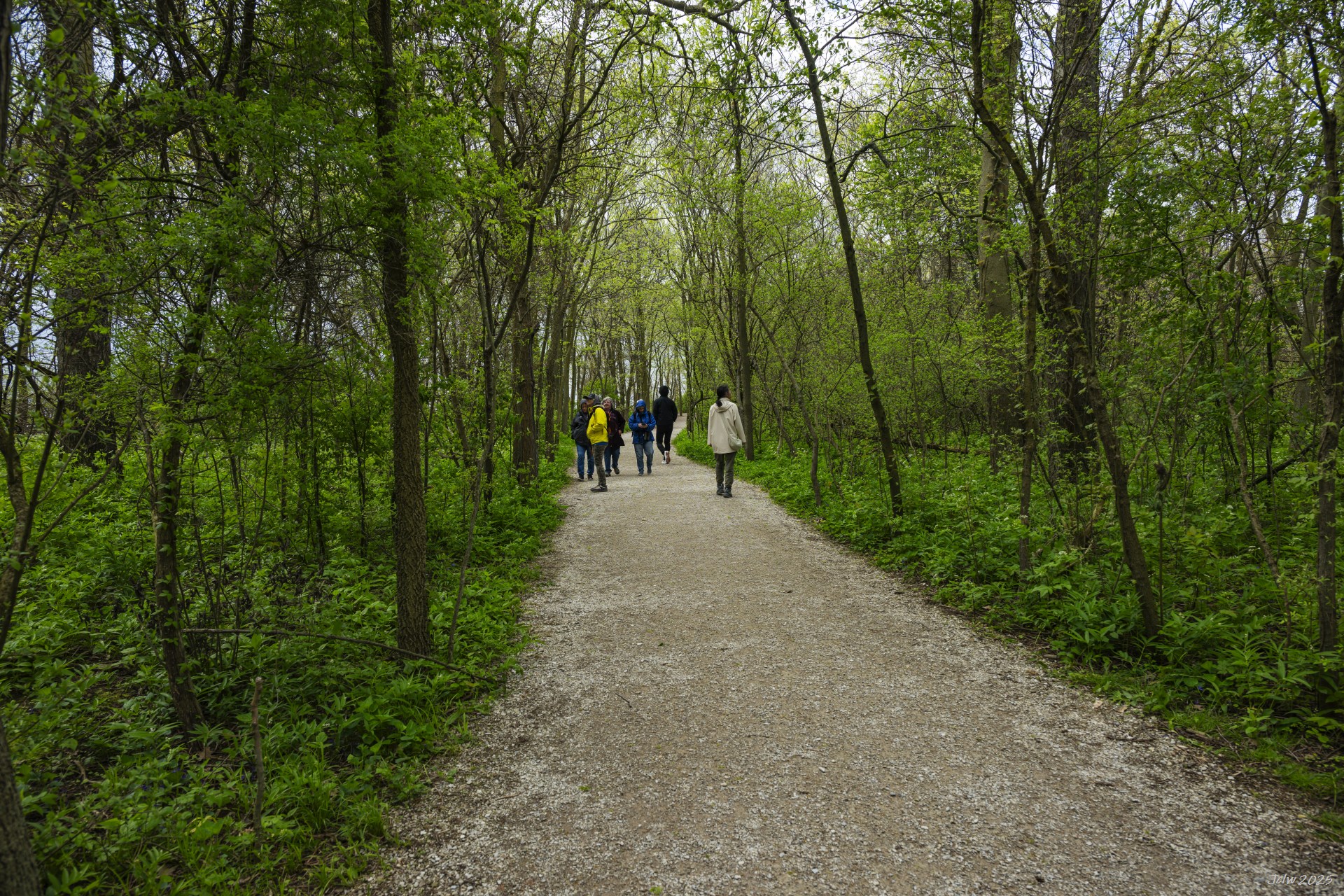 Z8A_5228.jpg