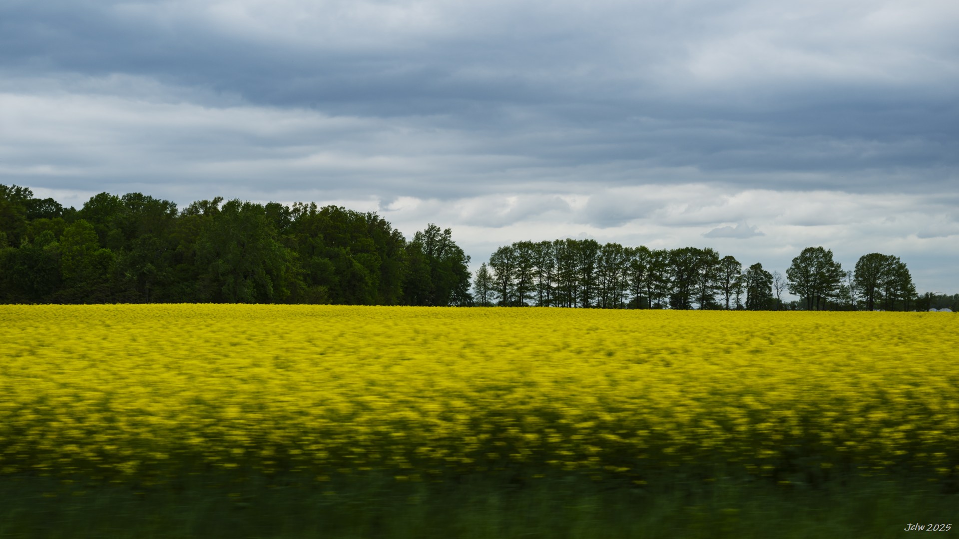 Z8A_5272.jpg