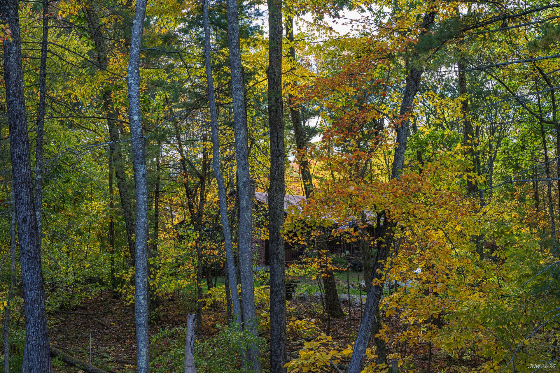 Z8A_5527.jpg