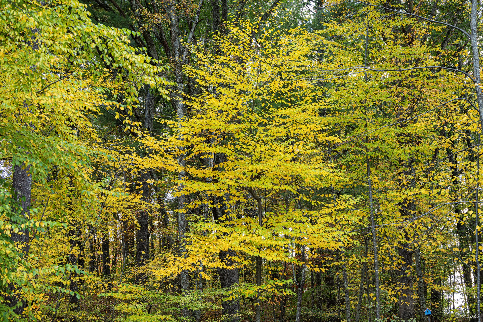 Z8A_5542.jpg