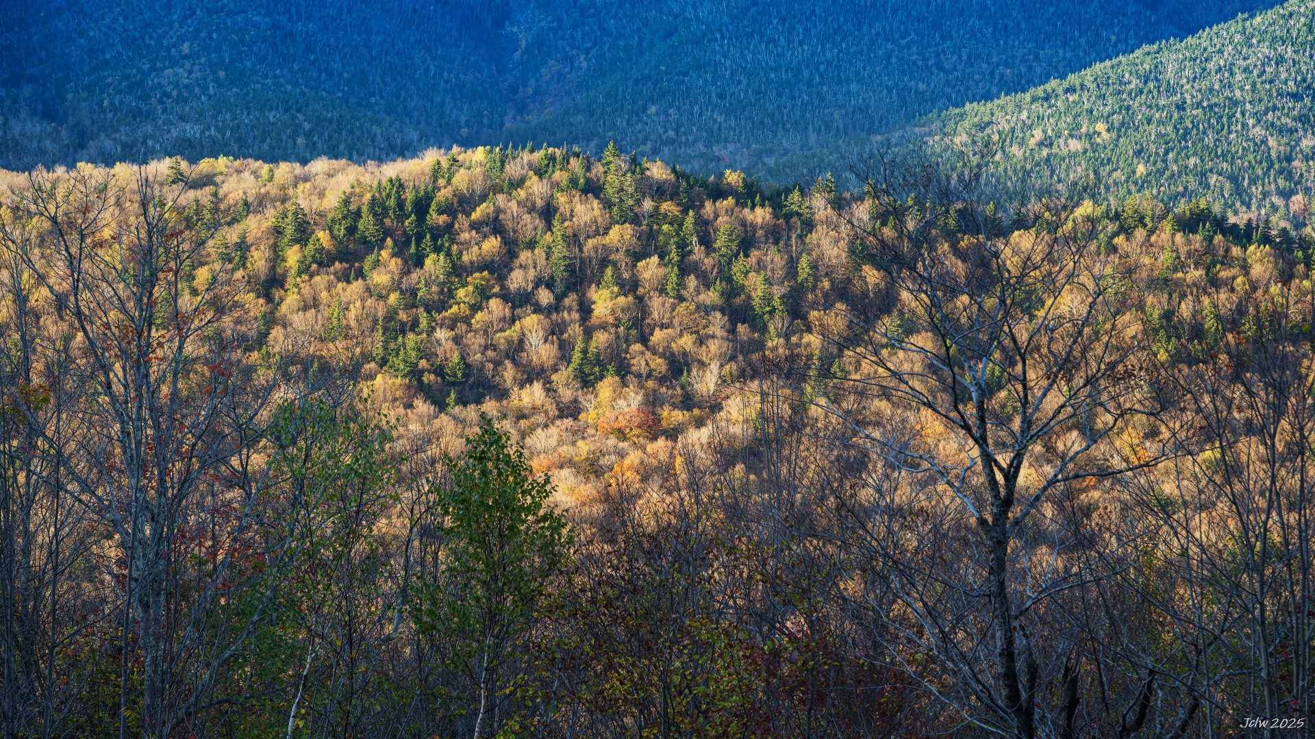 Z8A_5154.jpg