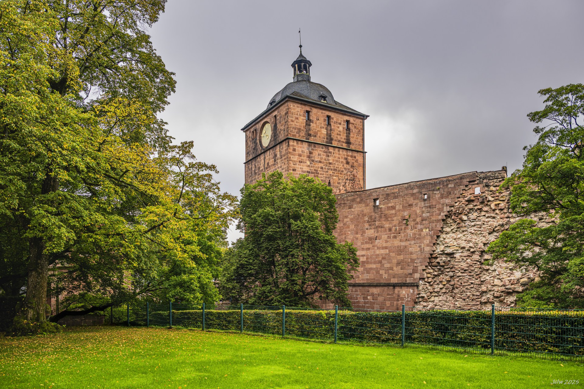 Z8A_4967.jpg