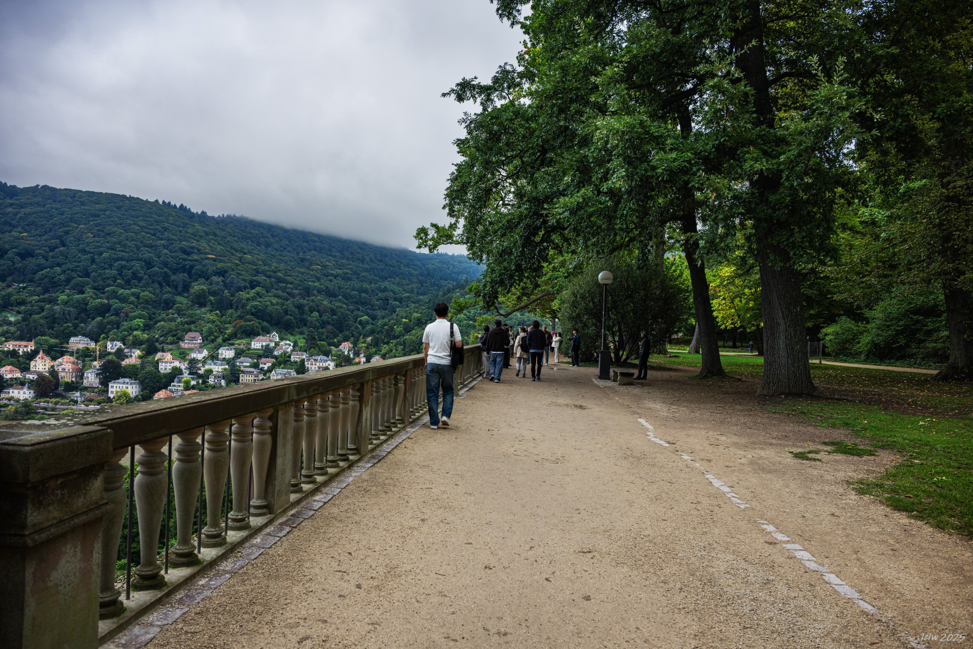 Z8A_4980.jpg