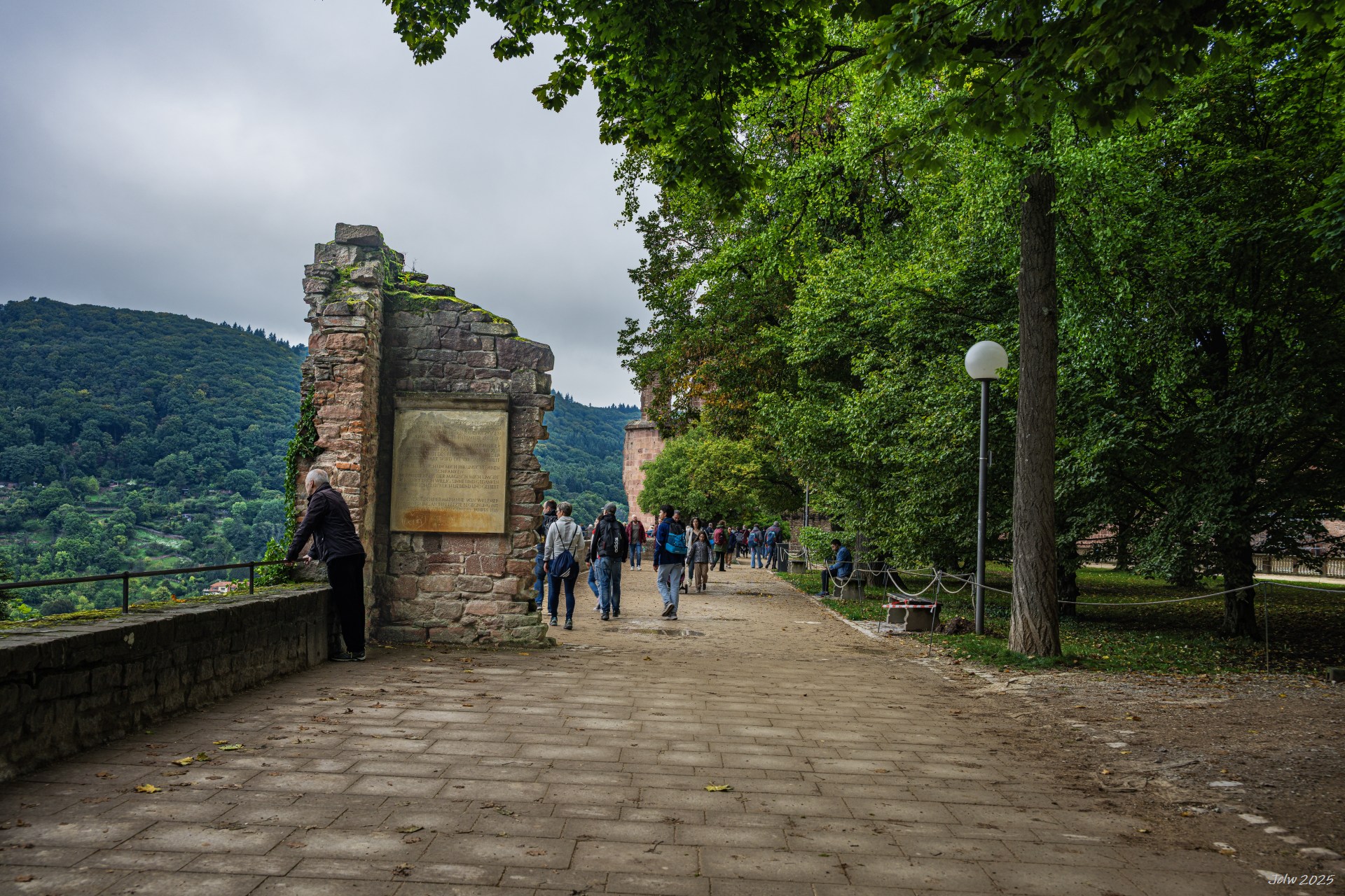 Z8A_5036.jpg