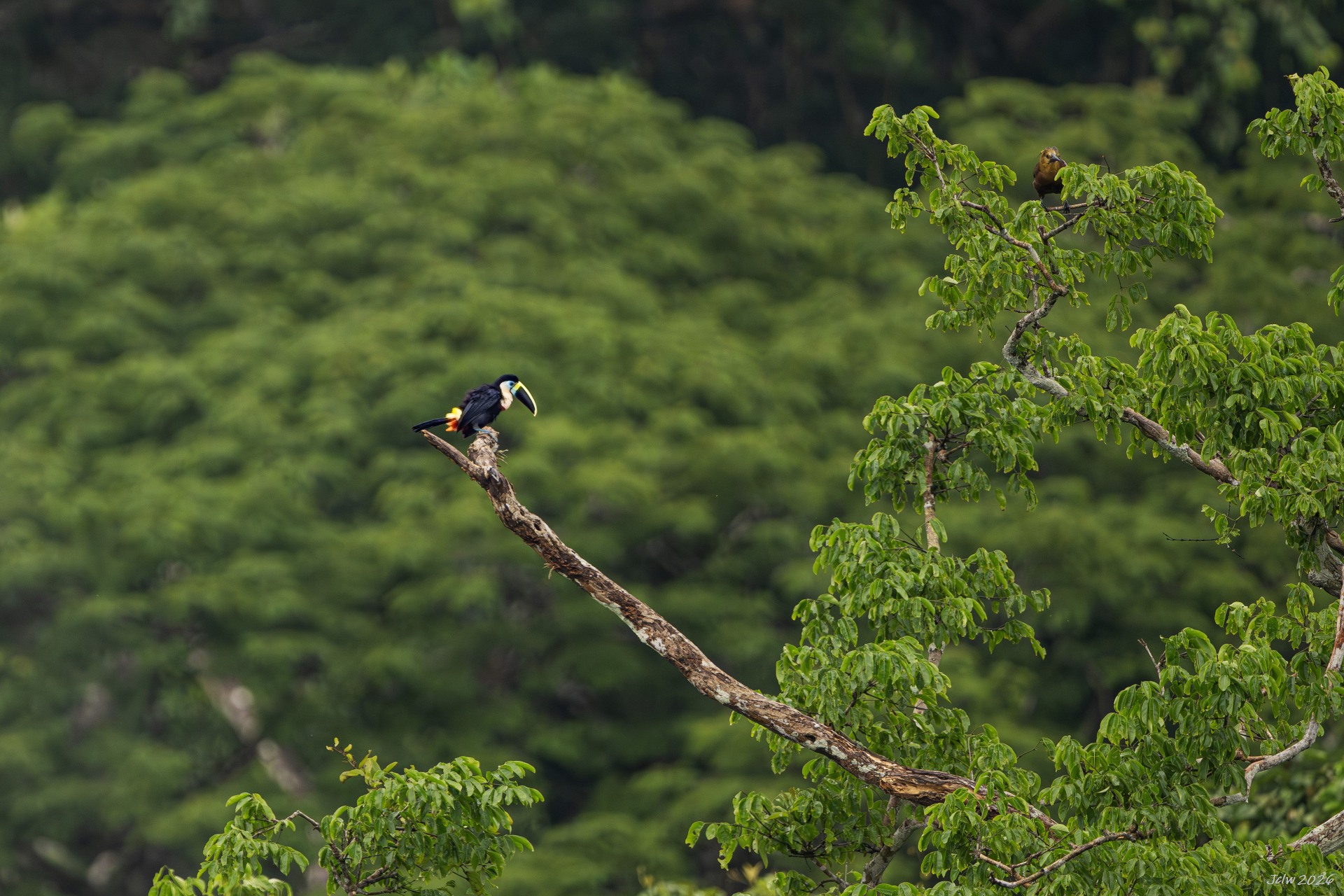 Z8W_6080.jpg