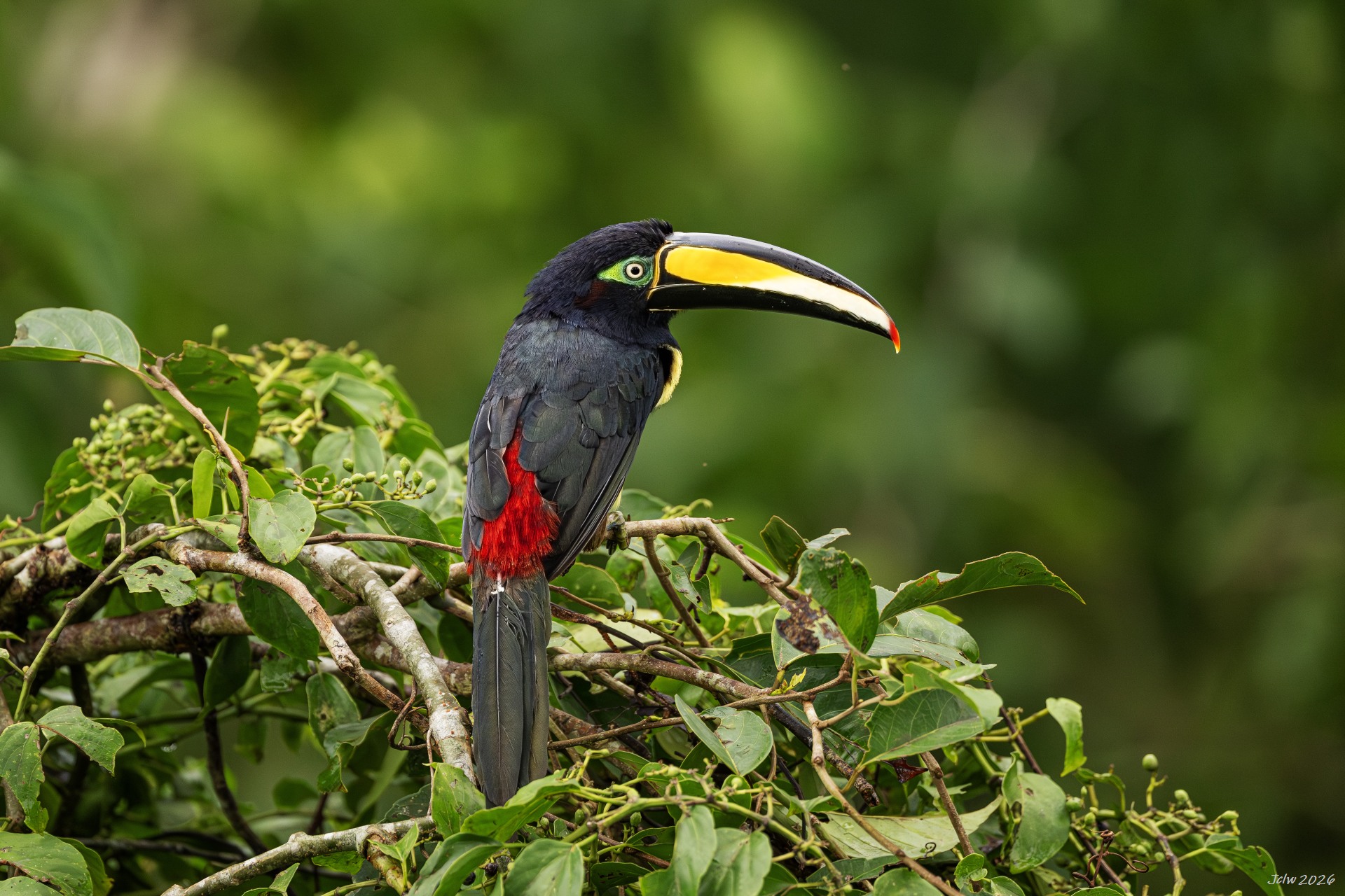 Z8W_6384.jpg