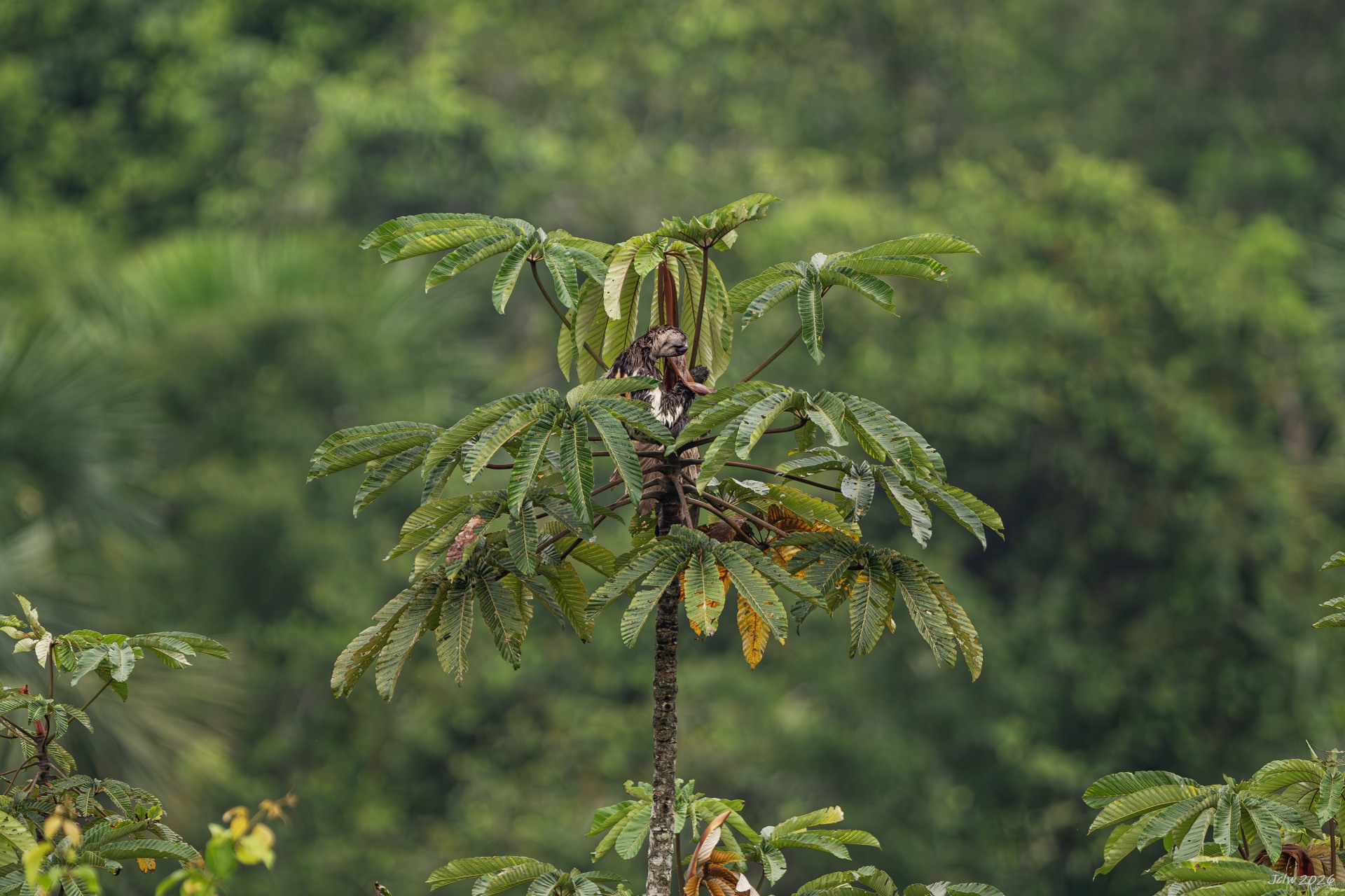 Z8W_6434.jpg