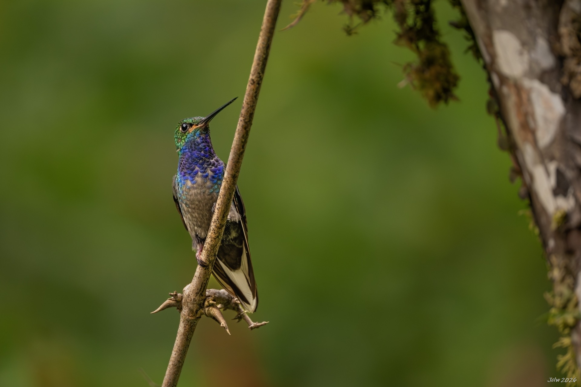 Z8W_4318.jpg