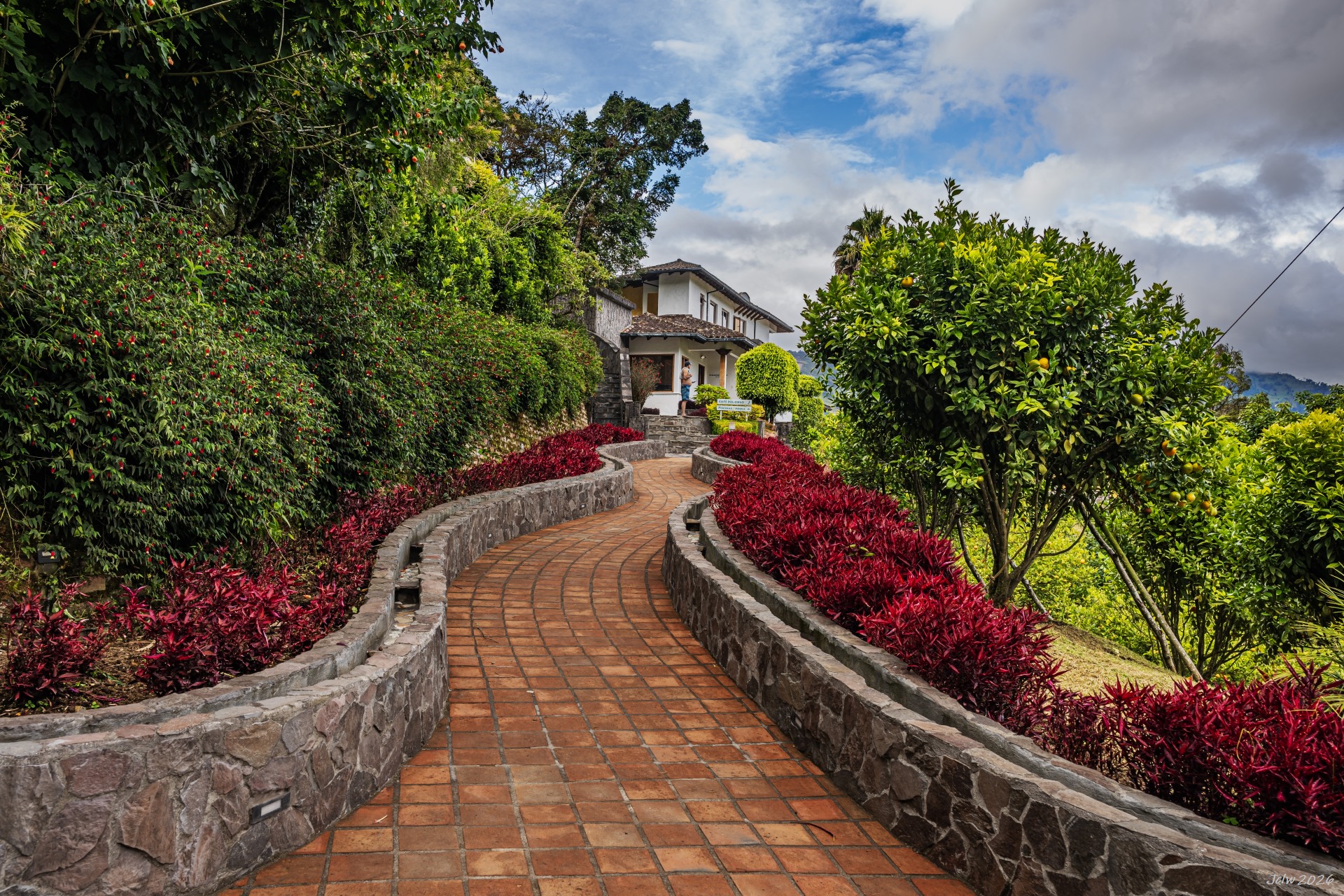 Z8A_0930.jpg