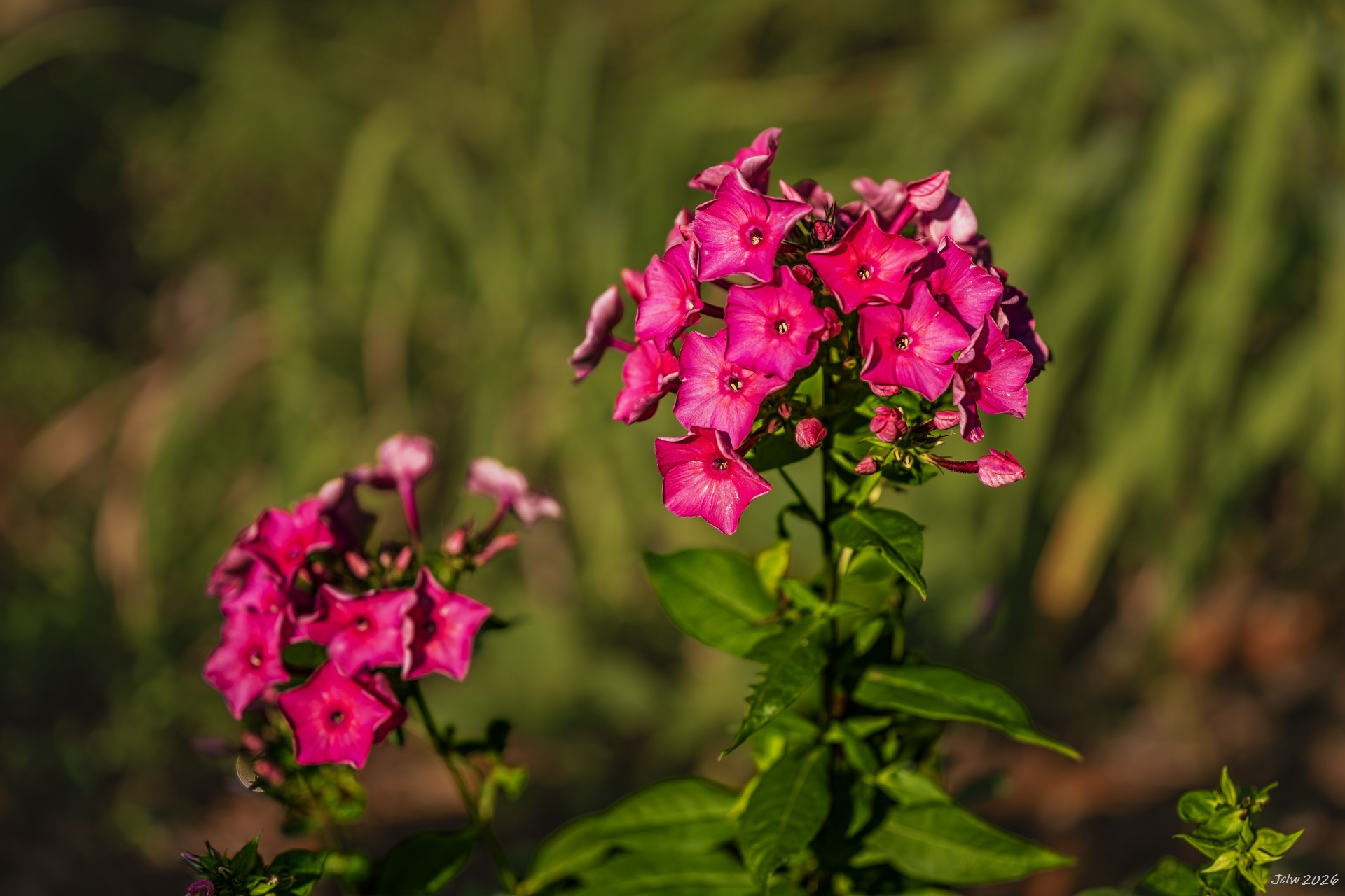 Z8A_5654.jpg