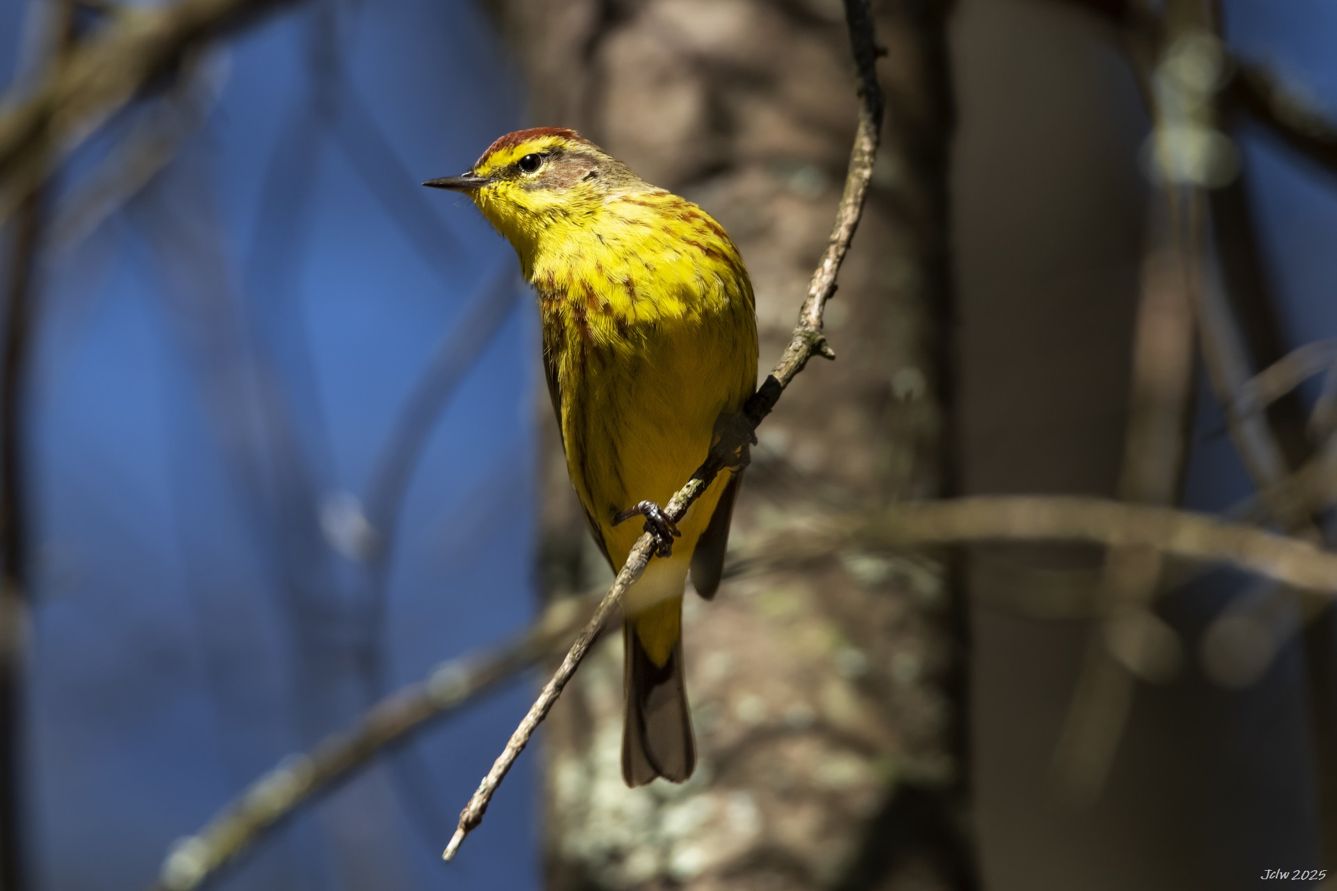D85_6096.jpg