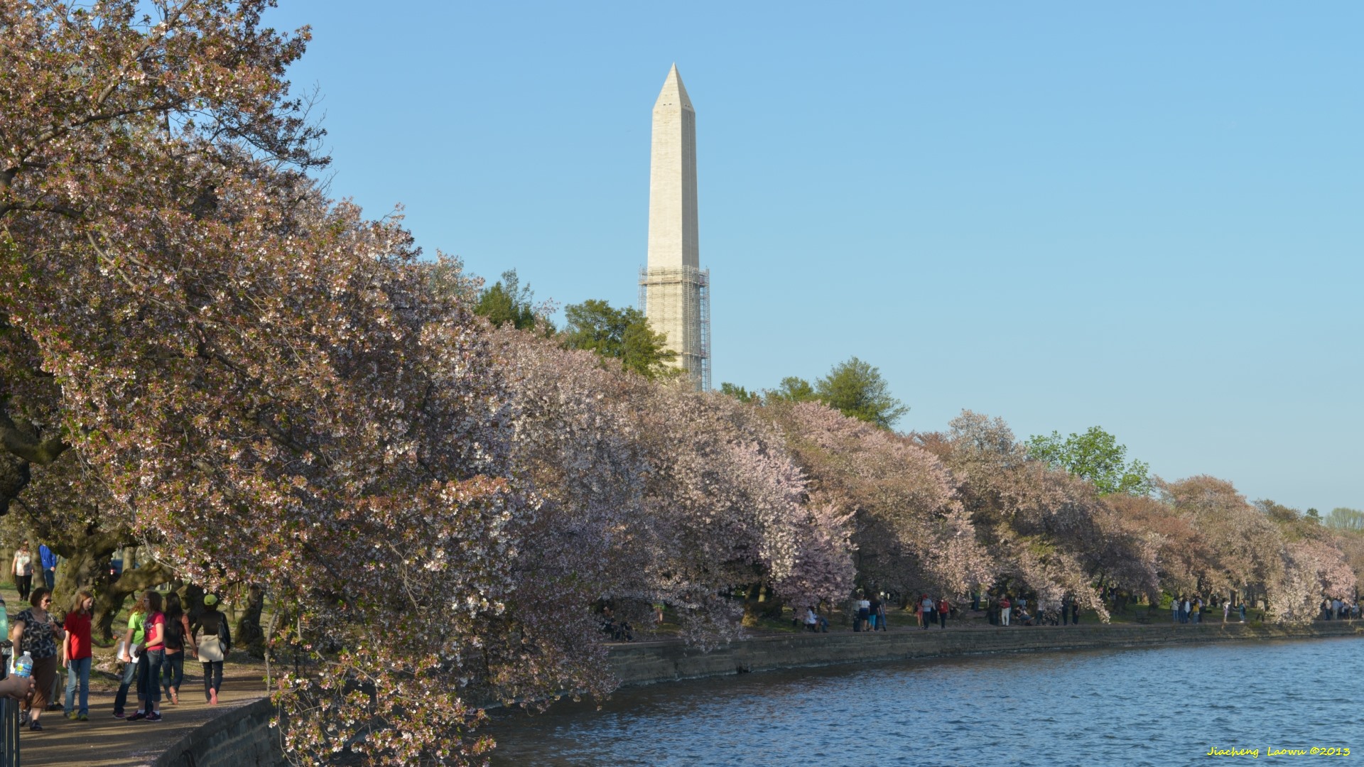 Cherry Blossom under Sunset 3, W Tidal Basin