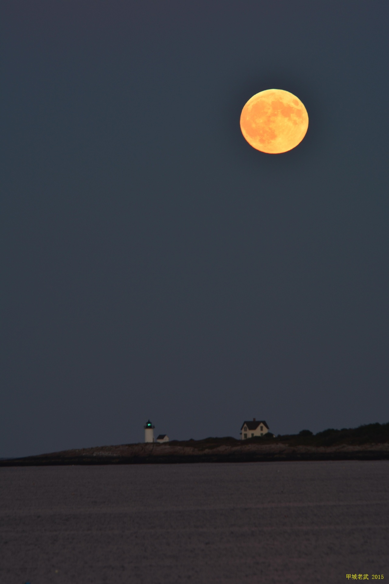 moon and bird