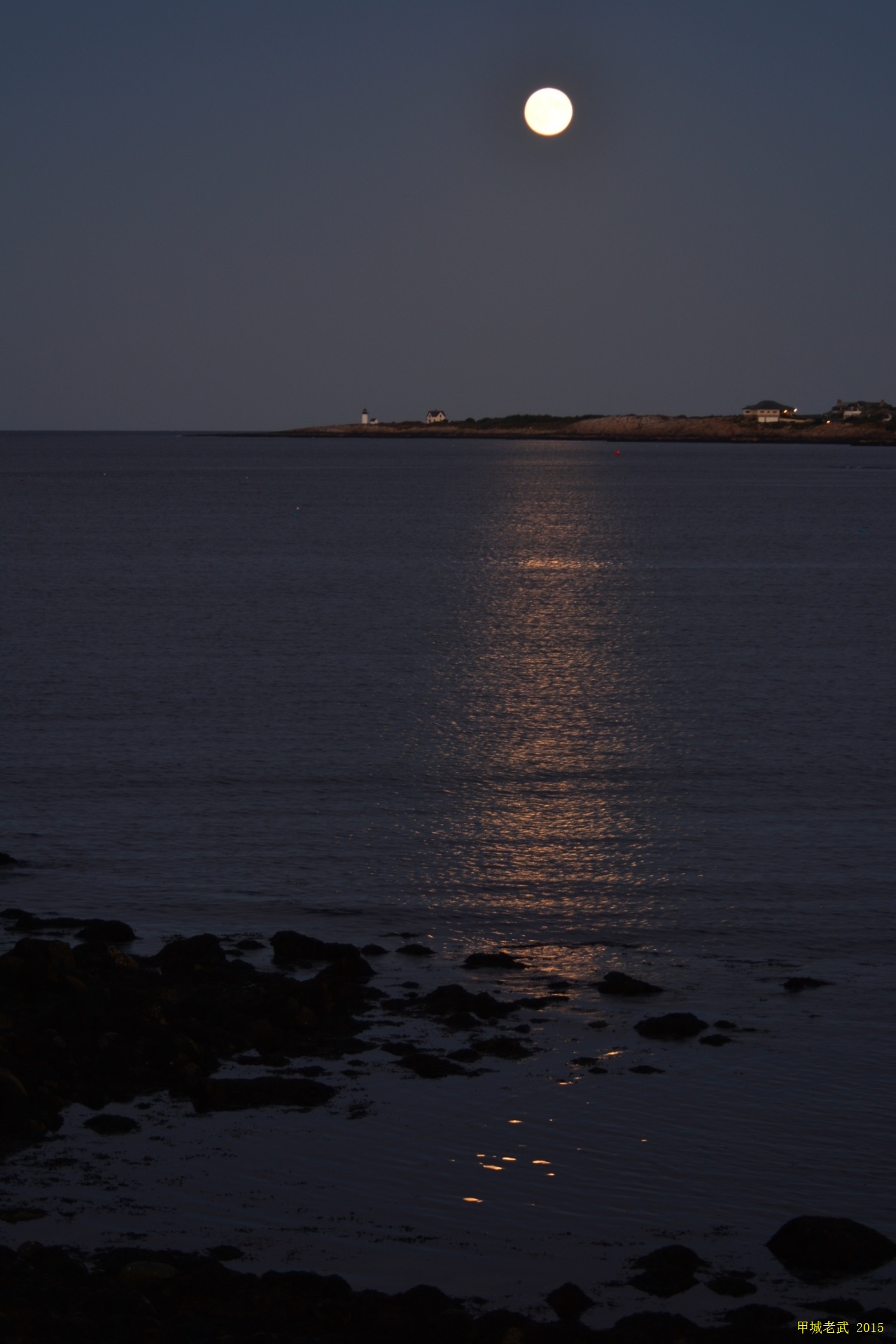 moon and bird