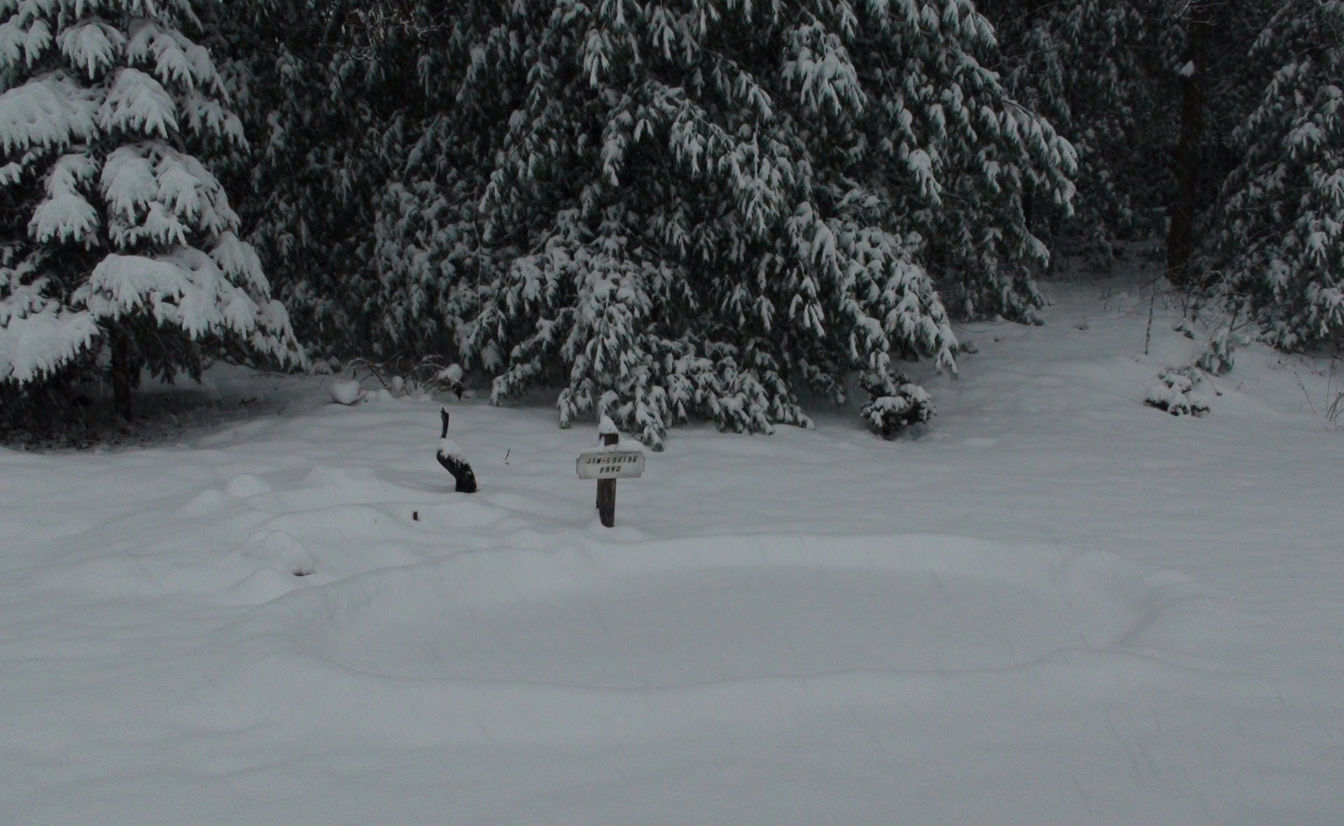 Pond beneath the snow