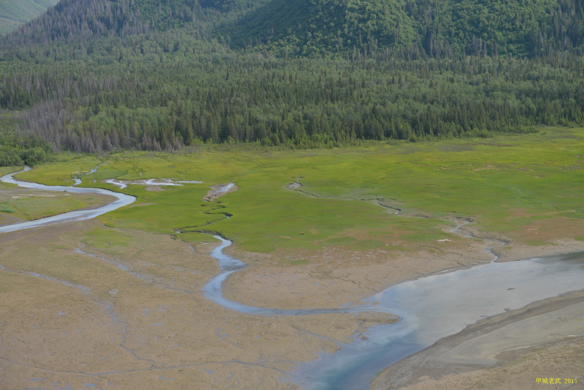 The river and mountains in Kalkeetna