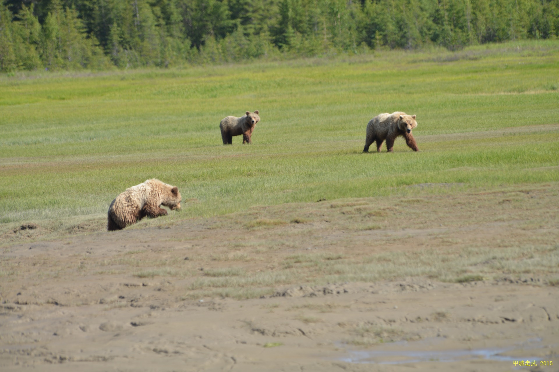 Alaska Travel route