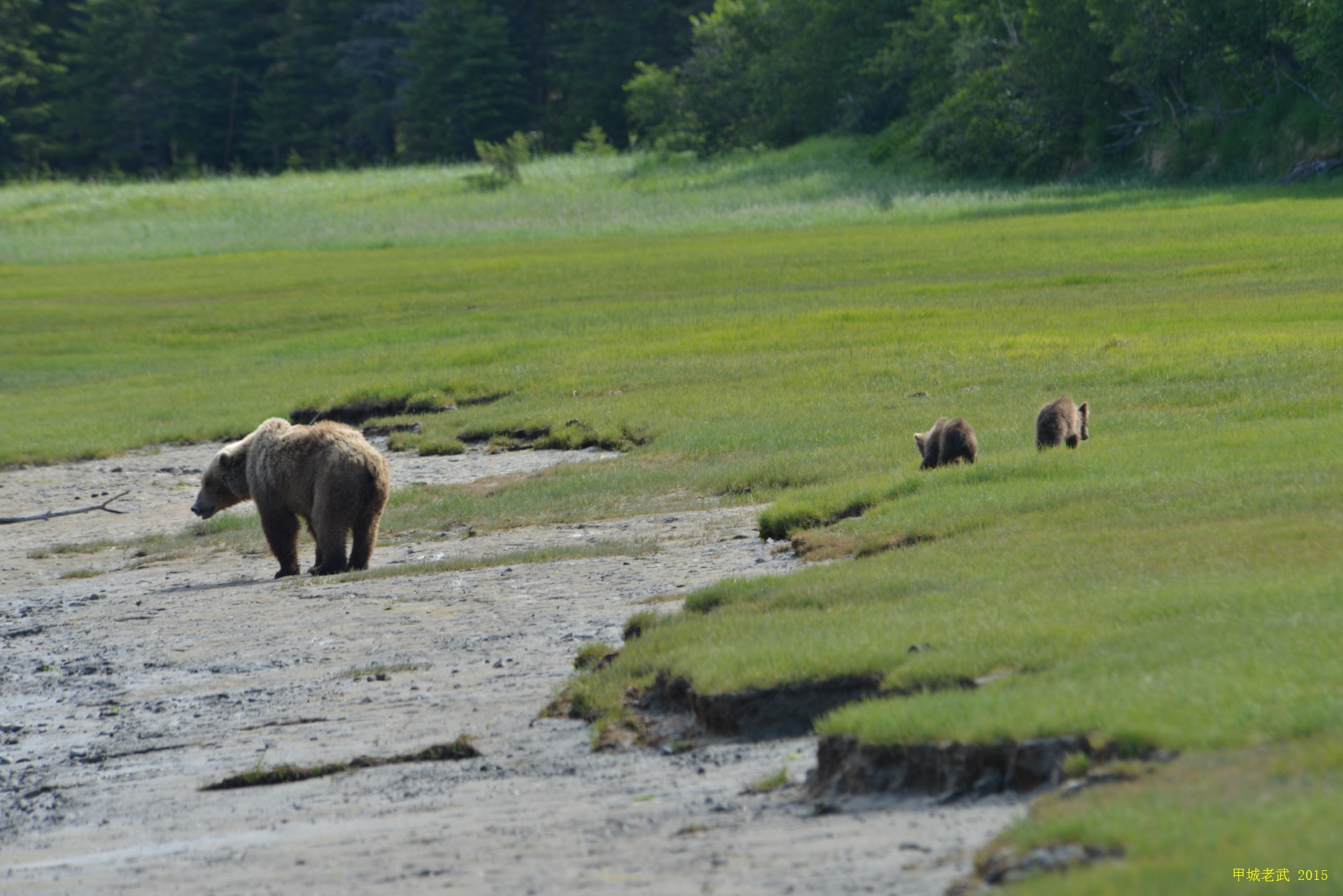 Alaska Travel route