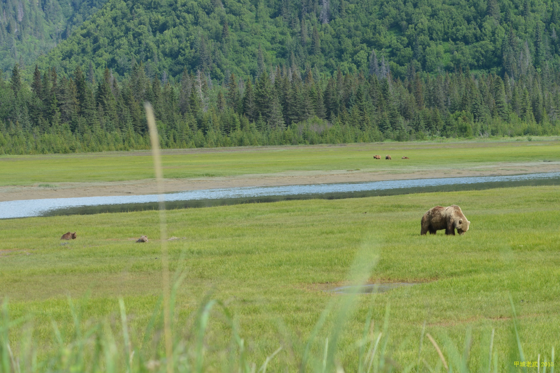 Alaska Travel route