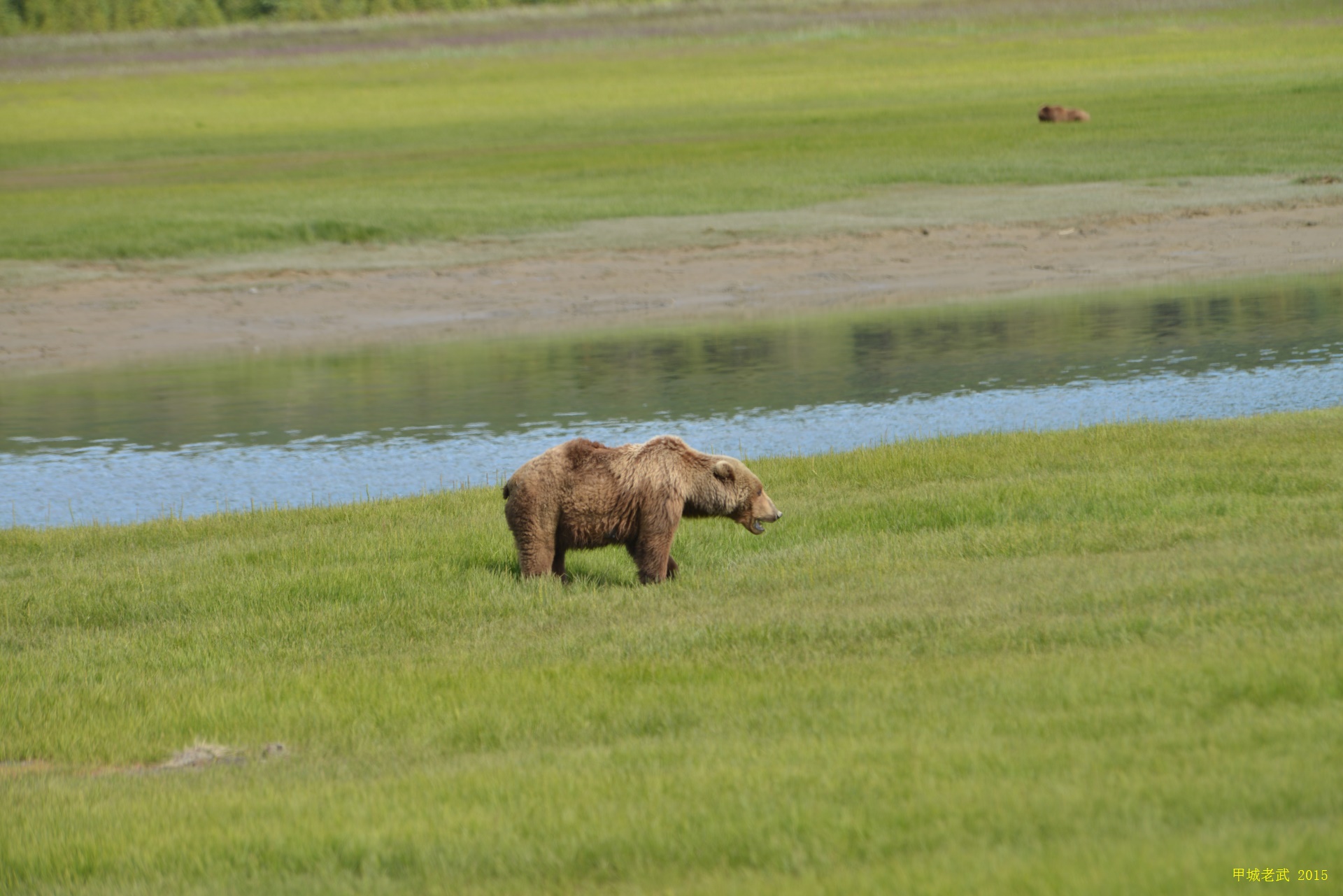 Alaska Travel route