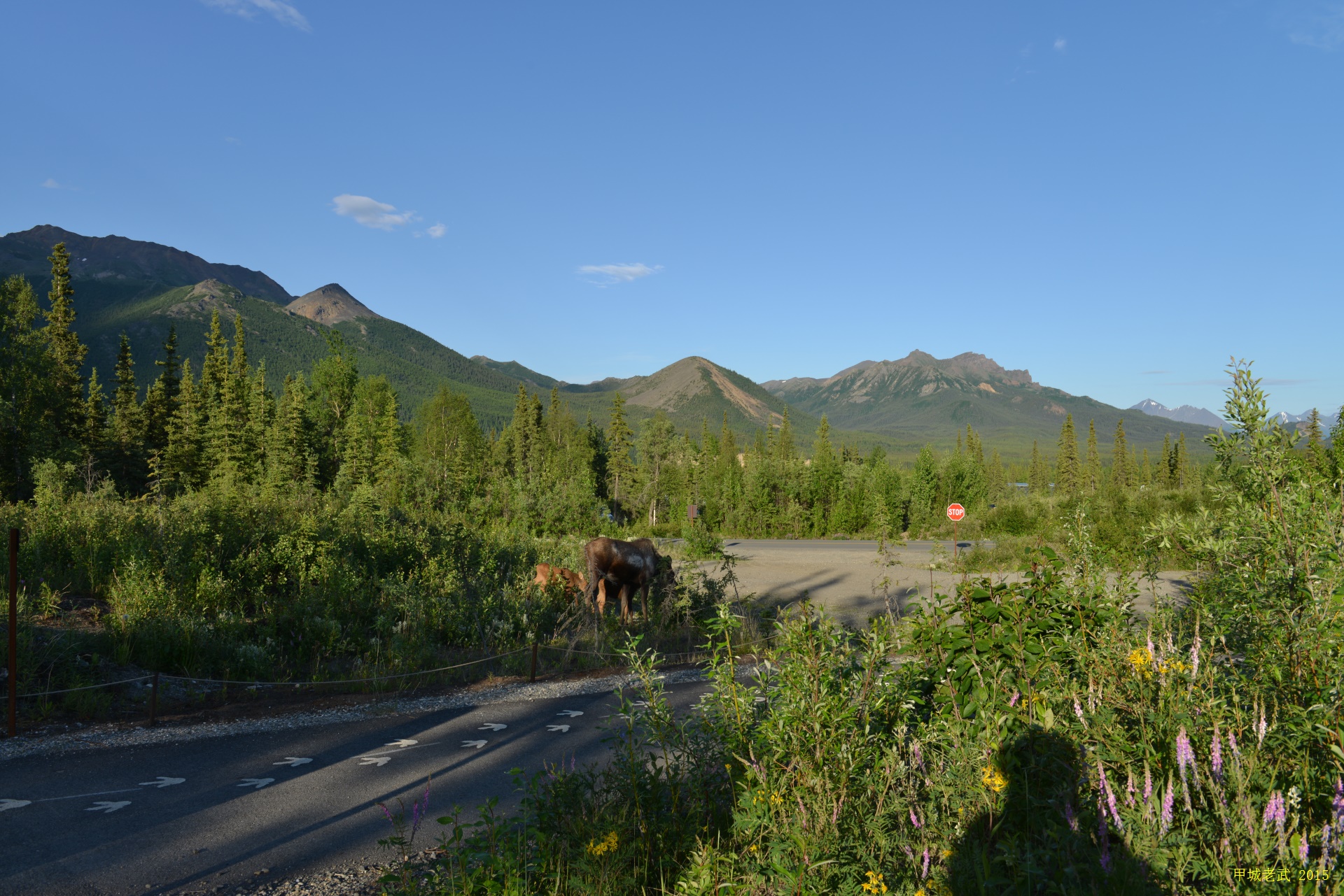 Alaska Travel route