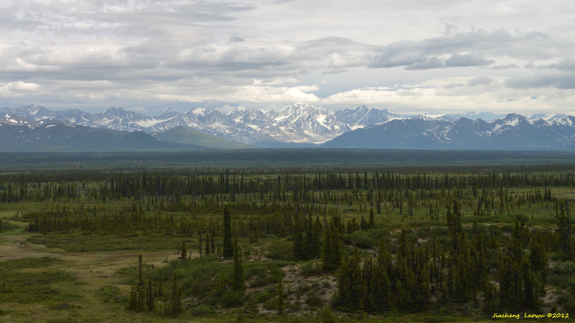 Snow peaks along the Denali Highway 