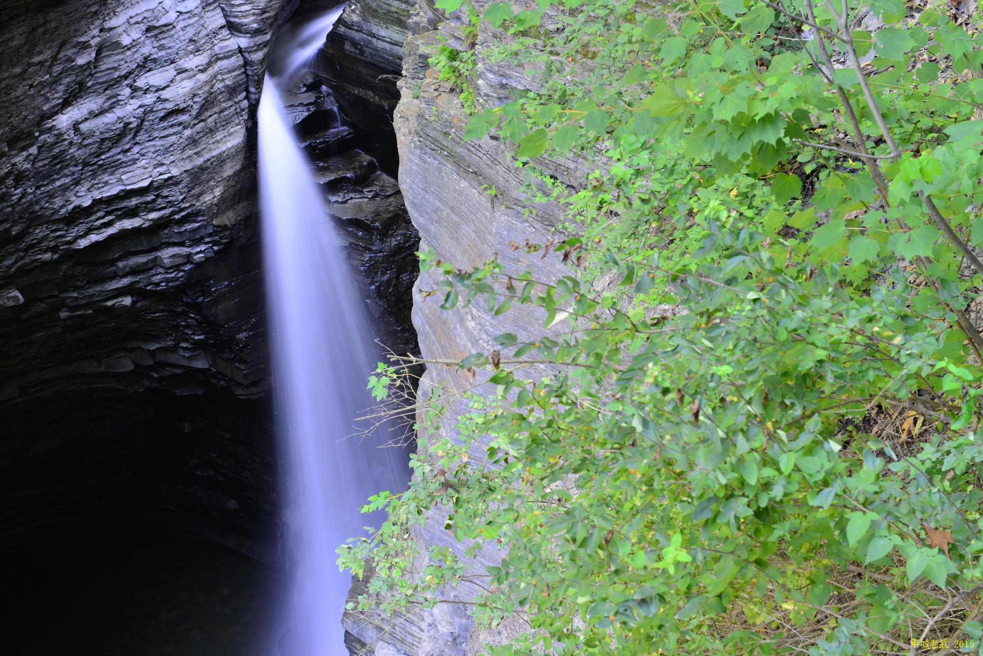 Watkins Glen