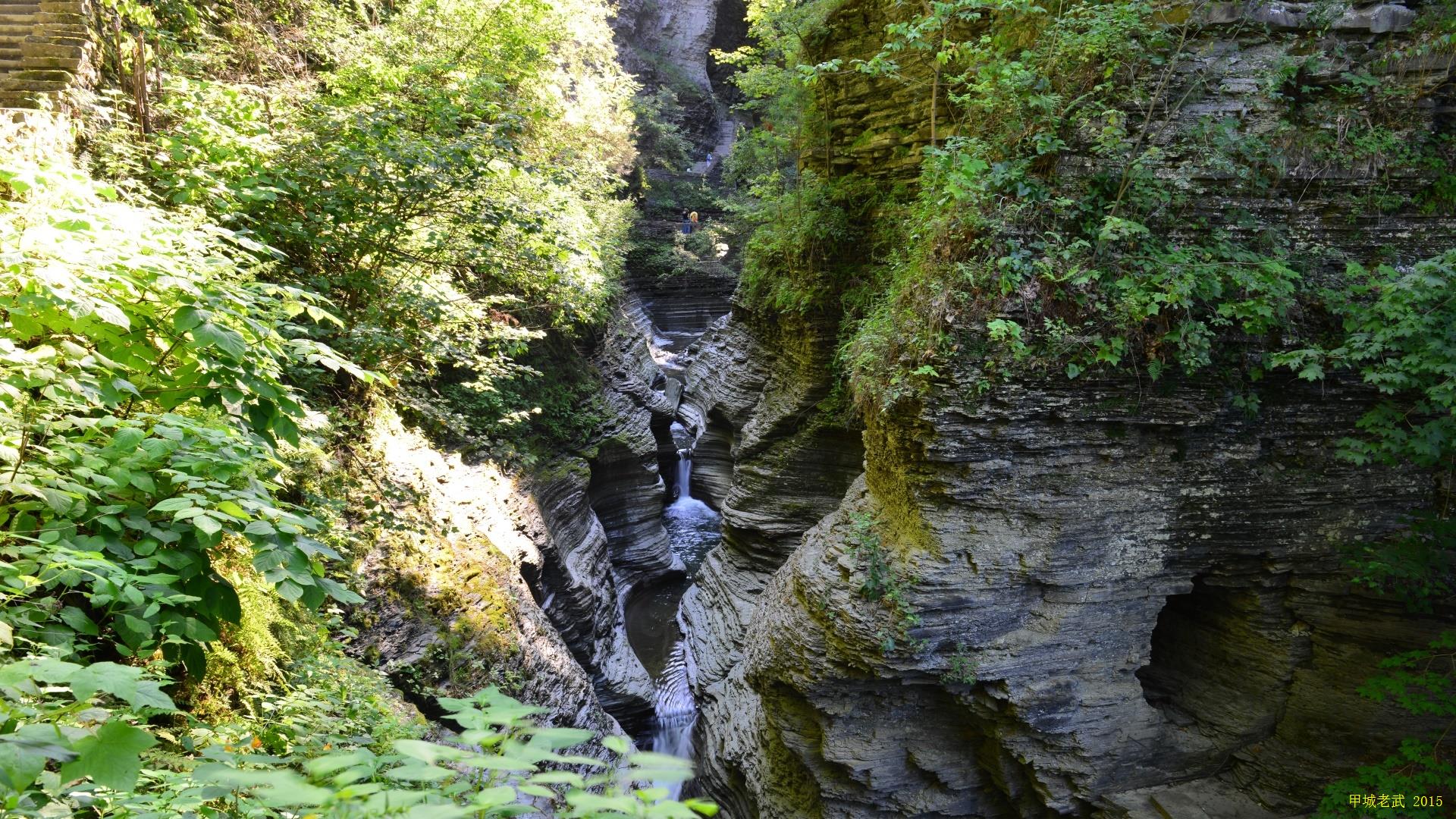 Watkins Glen