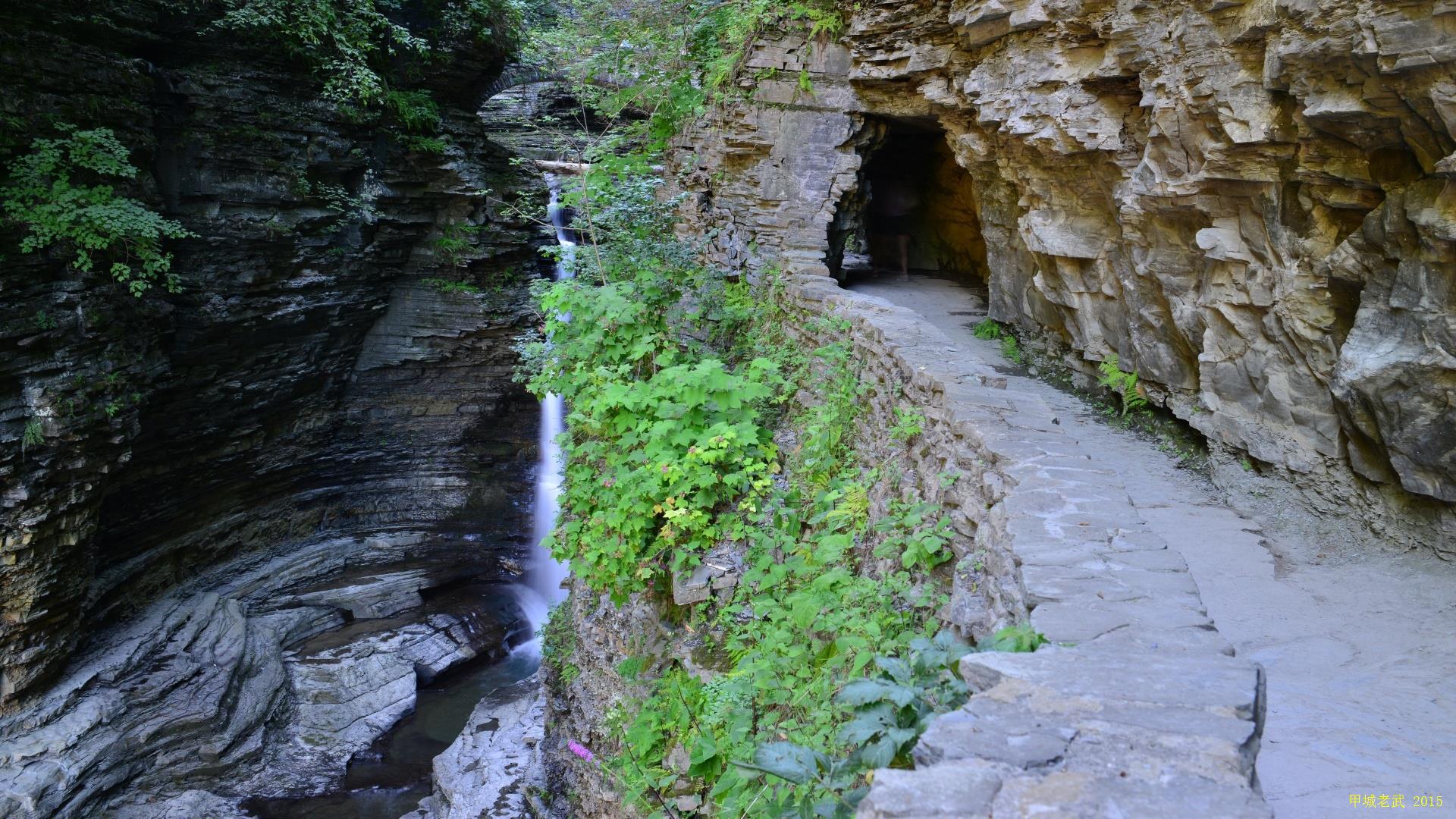 Watkins Glen