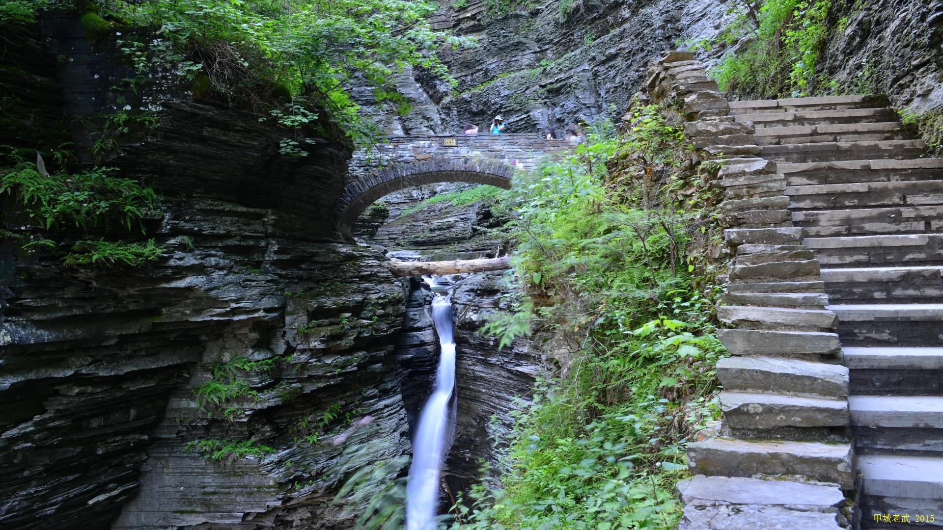 Watkins Glen