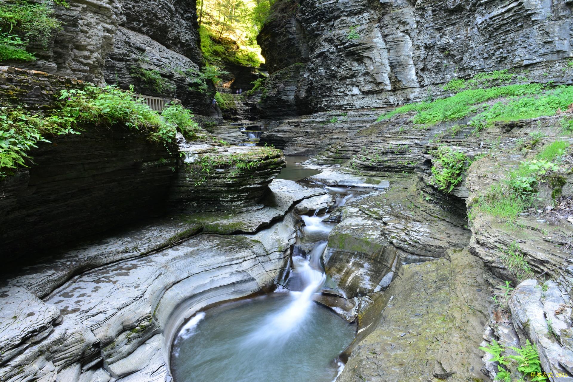 Watkins Glen