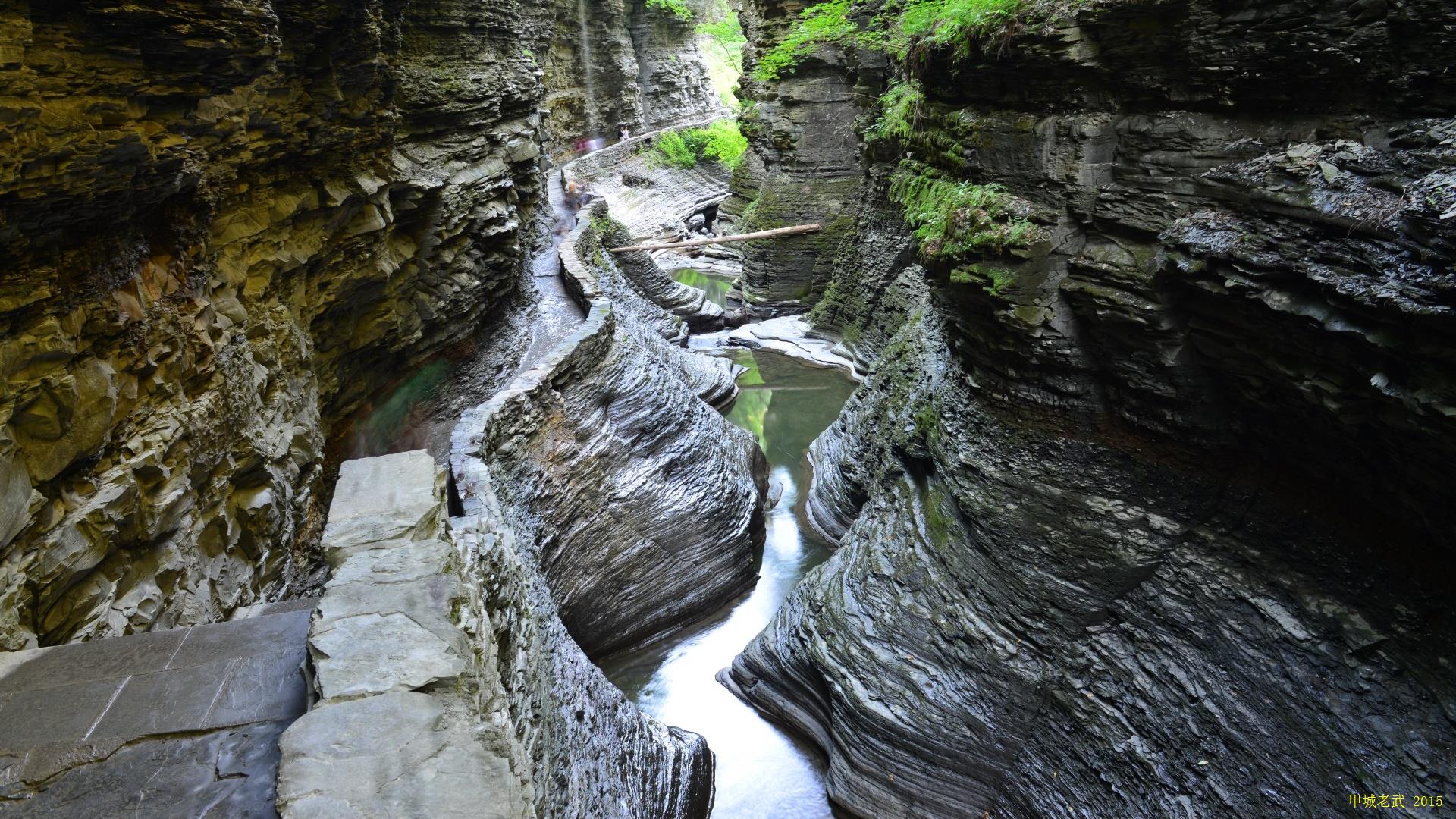 Watkins Glen