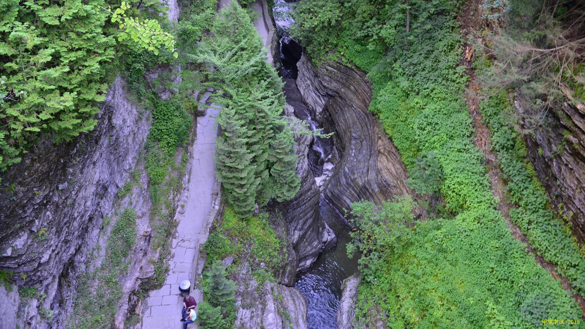 Watkins Glen